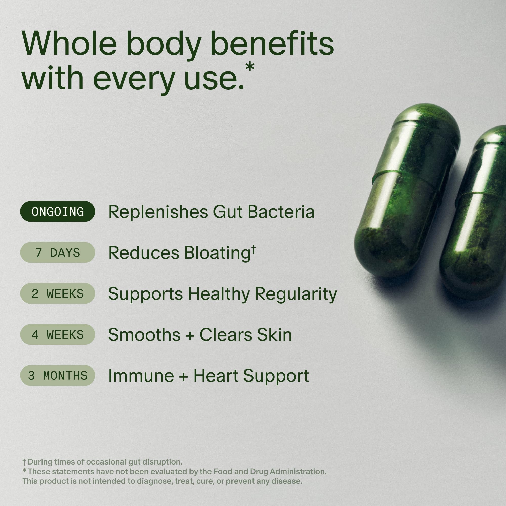 Daily Synbiotic Probiotic – Gut & Digestive Support, 60 Capsules