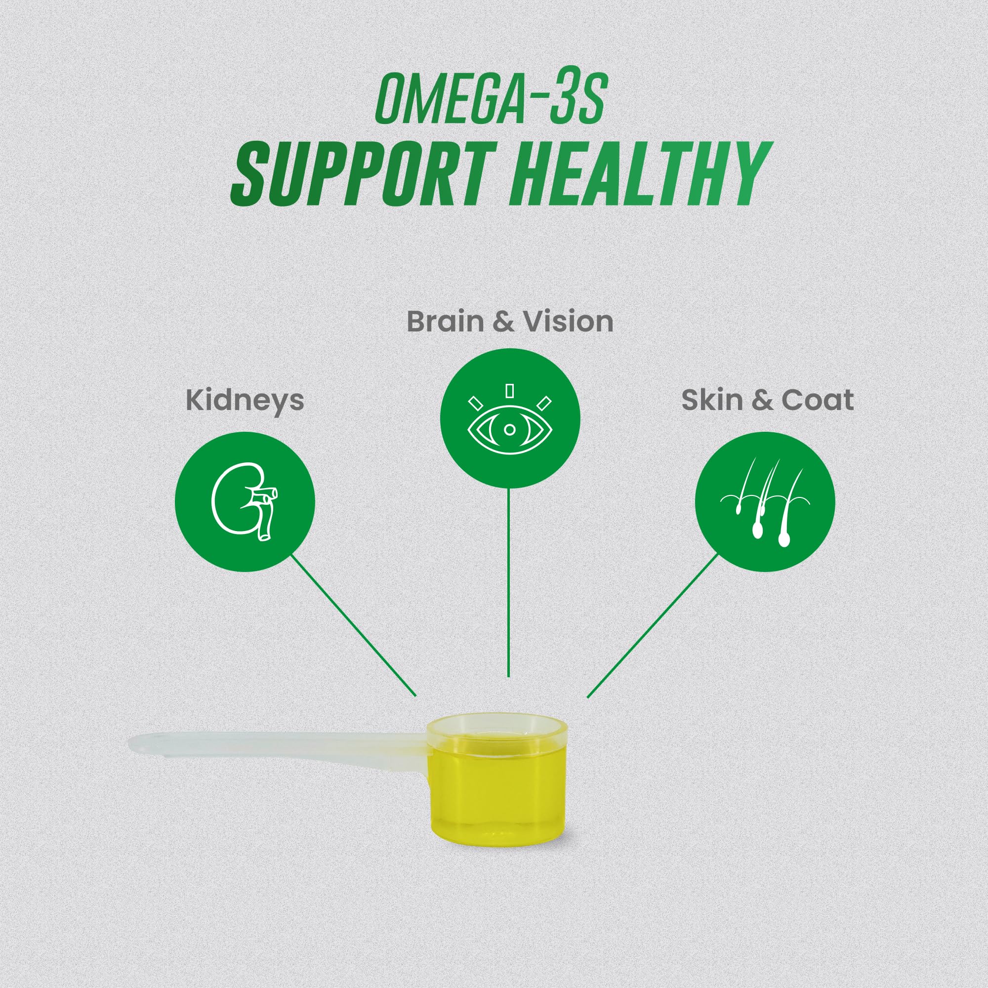 Omega-3 Fish Oil Liquid for Cats – Skin, Coat & Kidney Support 4oz
