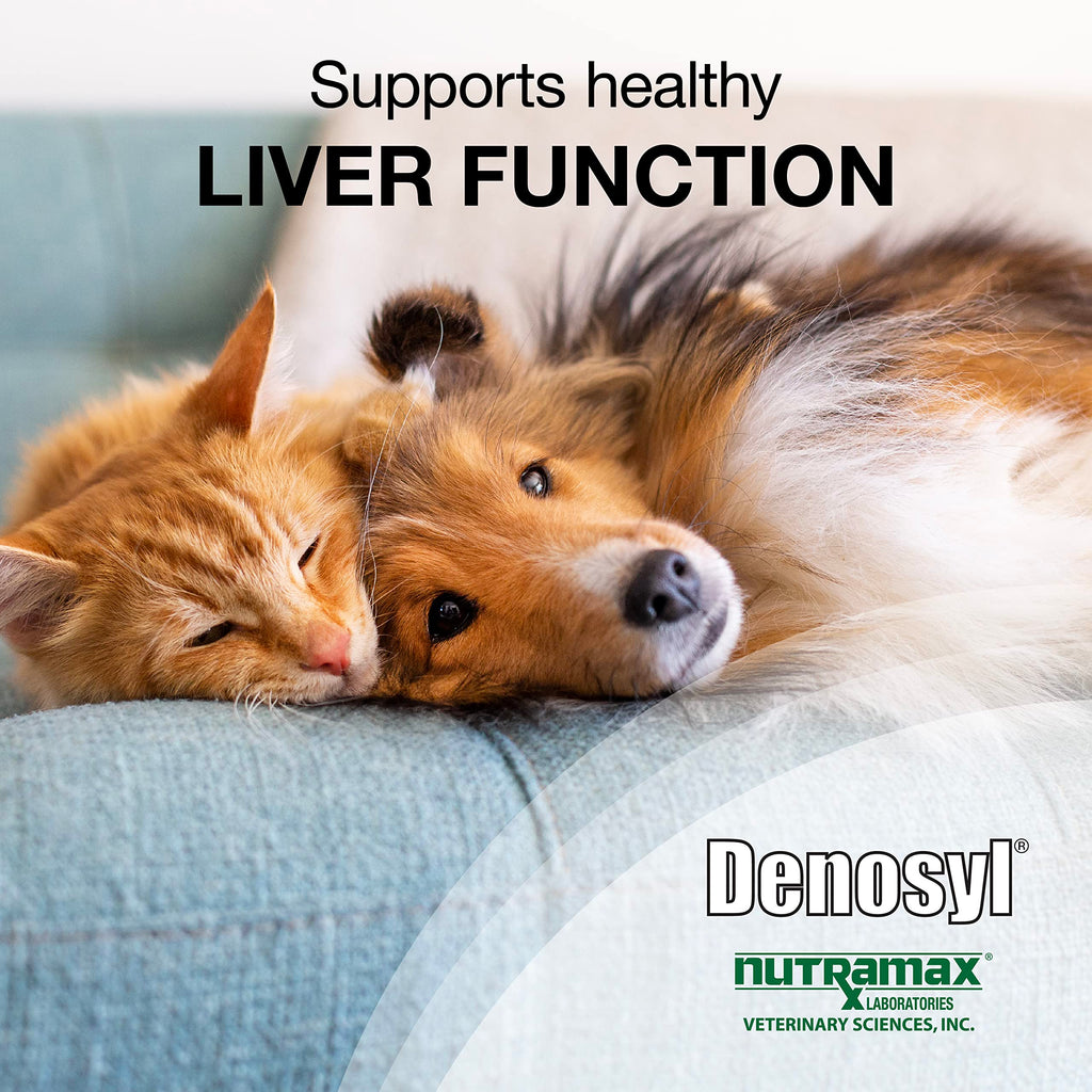 Liver Health SAMe Tablets for Dogs & Cats – 30ct