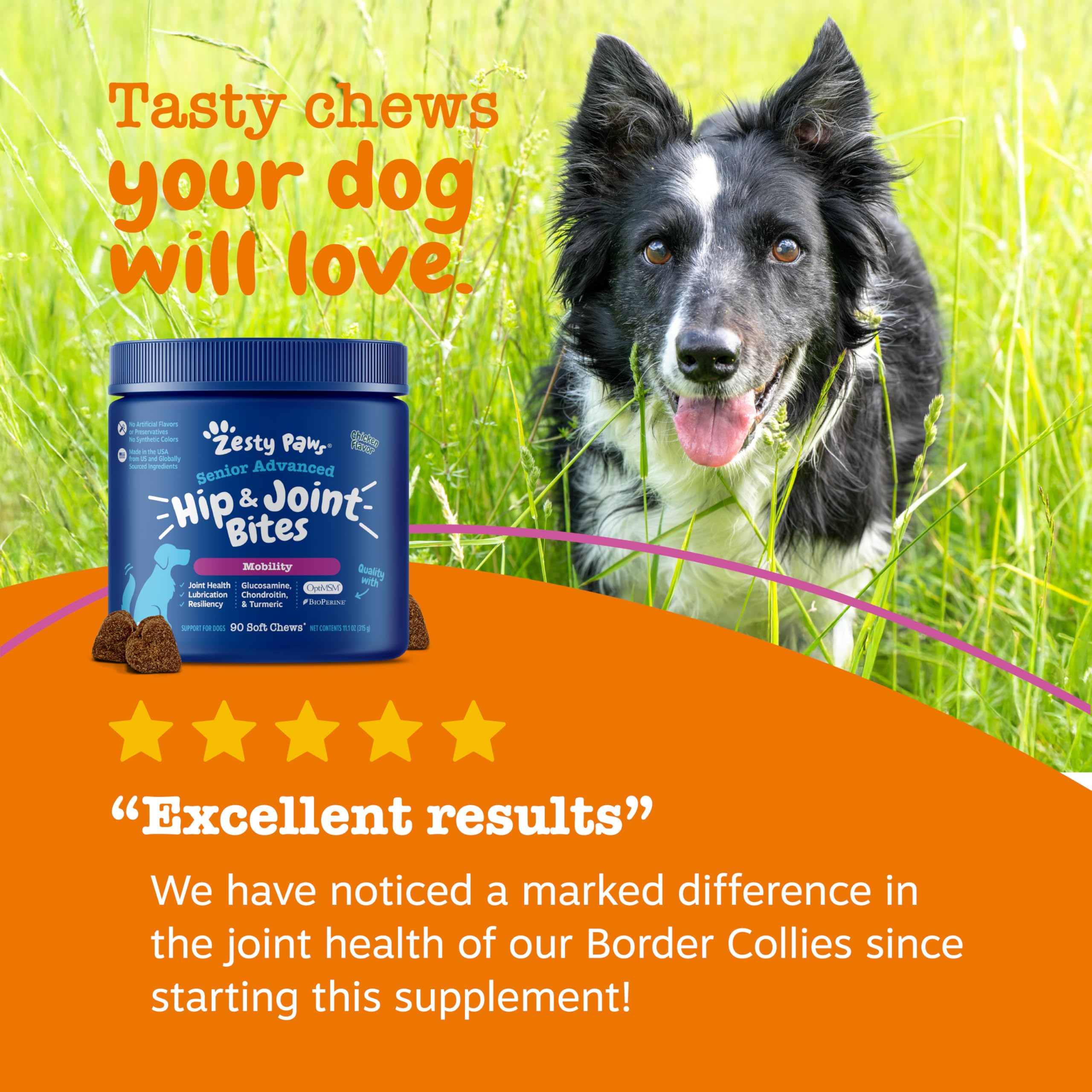 Joint Supplement Soft Chews for Dogs – Glucosamine & MSM 90ct