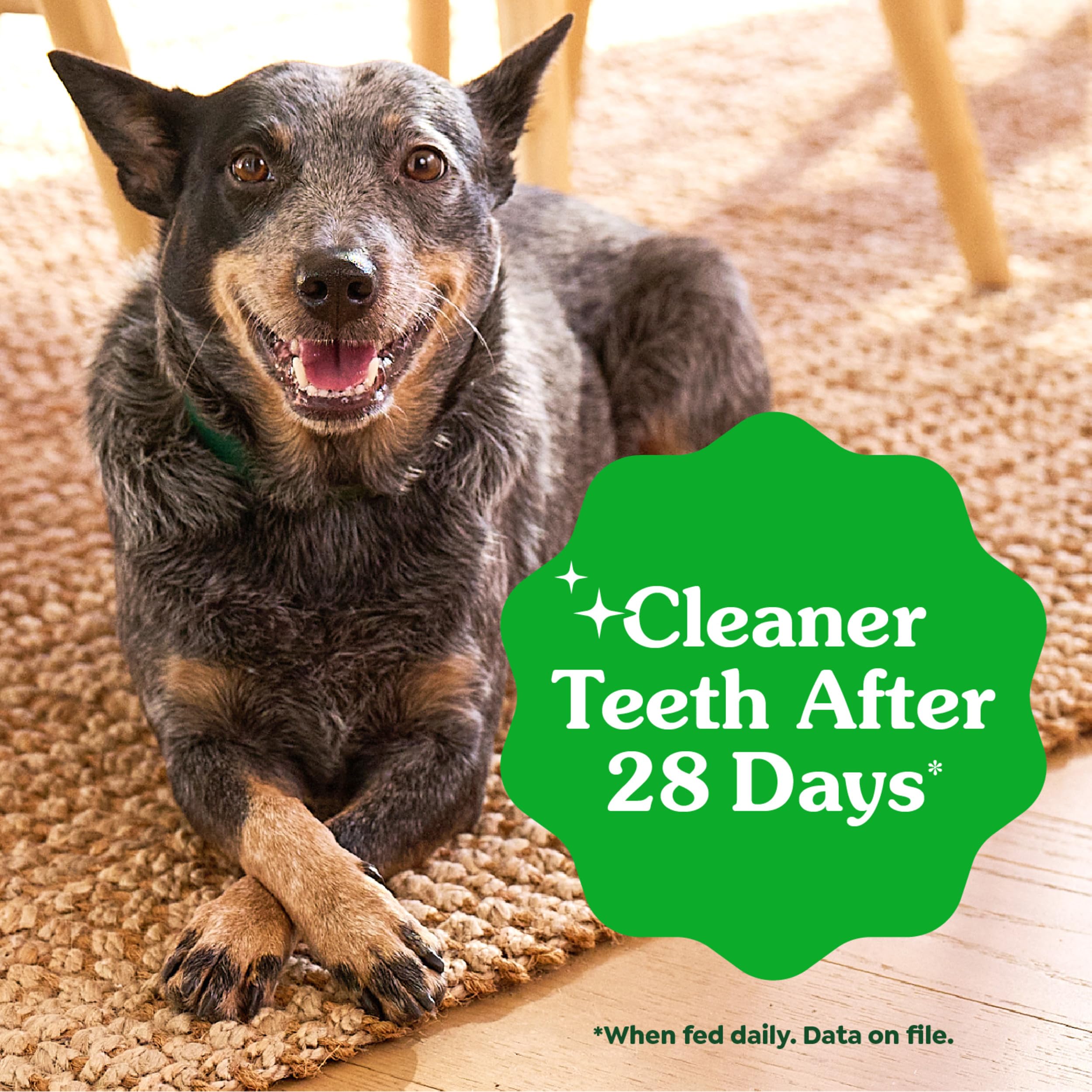Natural Dental Chews for Small Dogs – Teenie Size 43ct 12oz