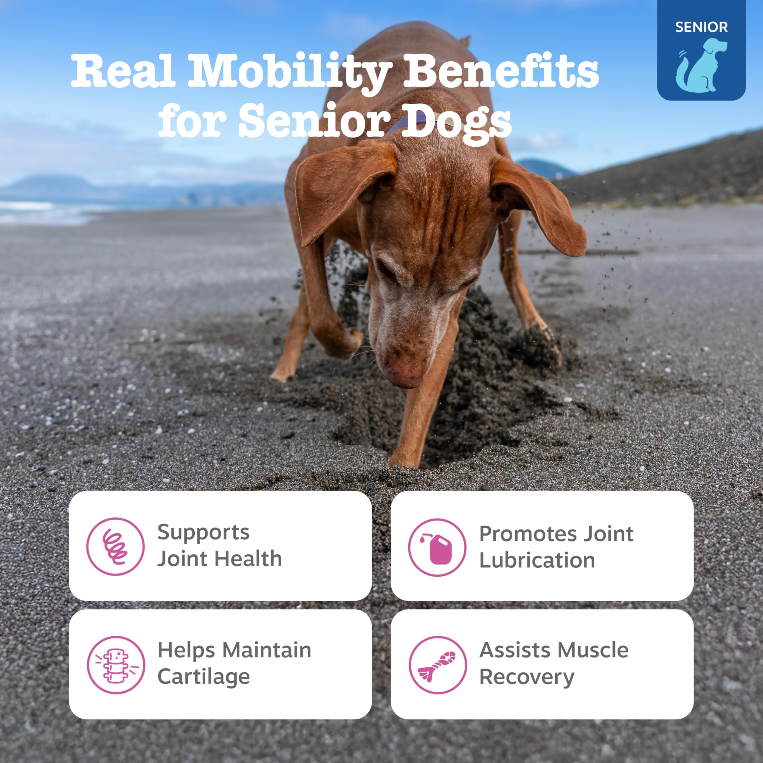 Joint Supplement Soft Chews for Dogs – Glucosamine & MSM 90ct