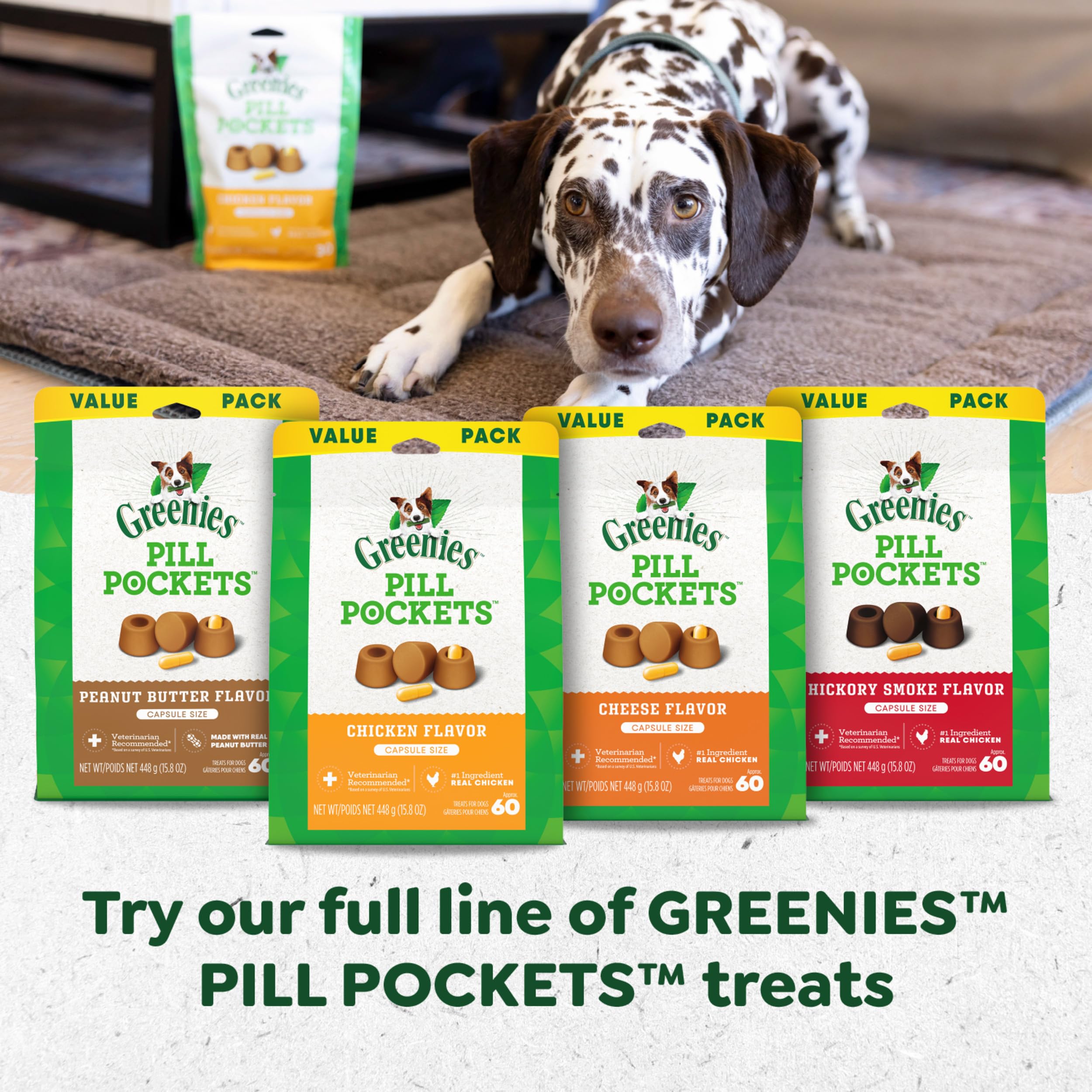 Pill Pocket Dog Treats for Capsules – Peanut Butter Large 15.8oz