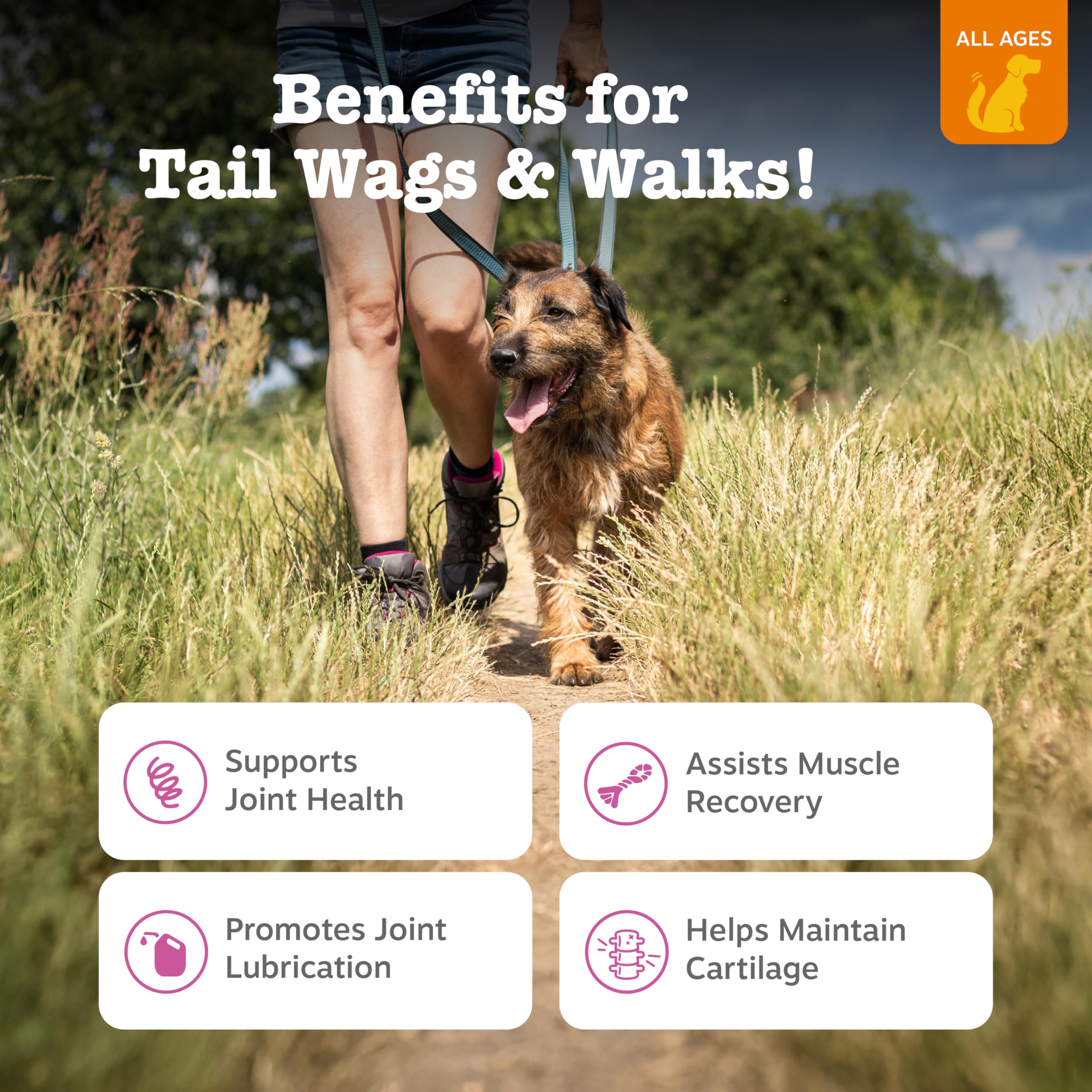 Hip & Joint Chews for Dogs – Glucosamine, Chondroitin & MSM 90ct