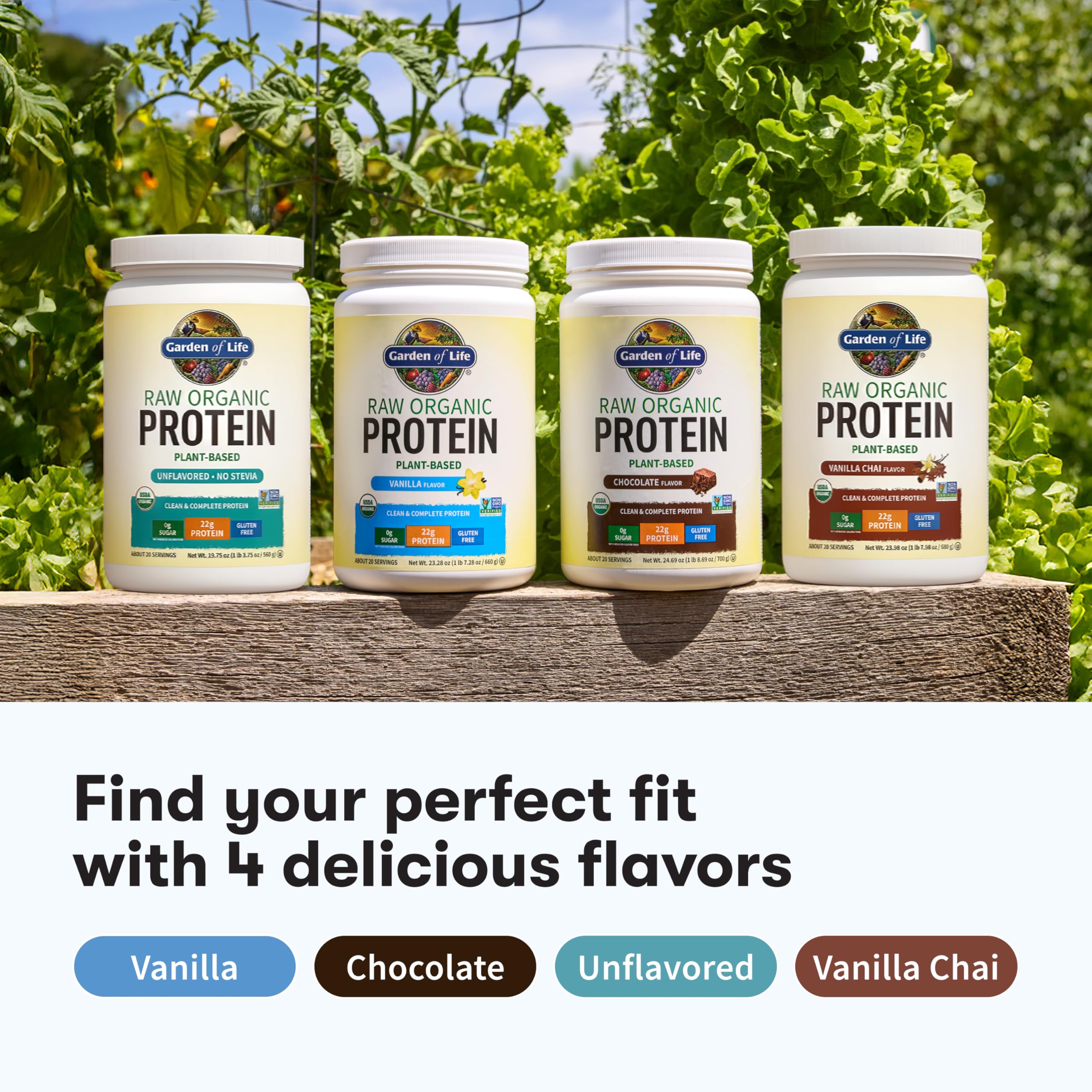 Vanilla Plant-Based Protein Powder With Probiotics